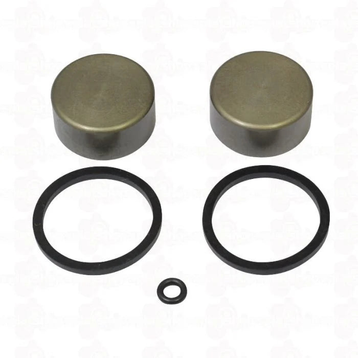 Beta Evo Rear Calliper Piston Kit - 160.00.328C