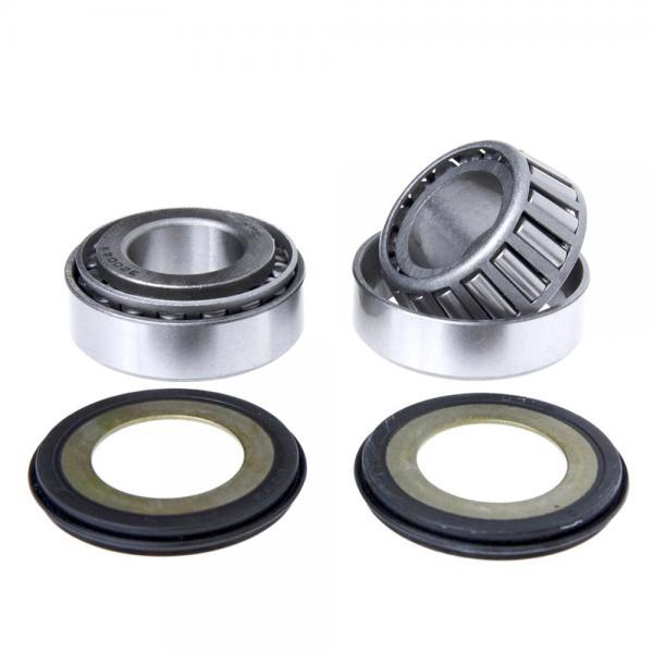 Steering Stem Bearing Kit - Beta , GasGas, Scorpa, Sherco, Vertigo