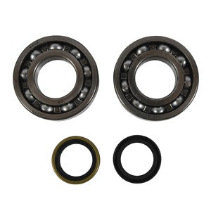 CRANK BEARING AND SEAL KIT BETA EVO 2T 125-300 13-25 (R)
