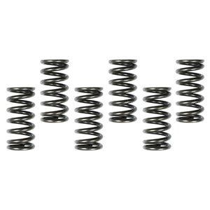 CLUTCH SPRING SET SHERCO TRIAL ALL 2 & 4-STROKE 98-15