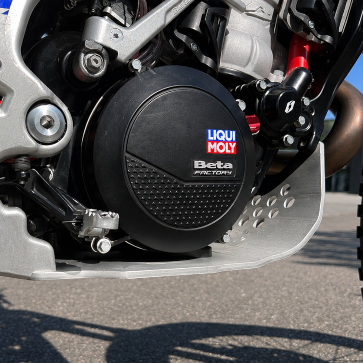 Jitsie Bash Plate - Beta Sincro/Montesa 4RT