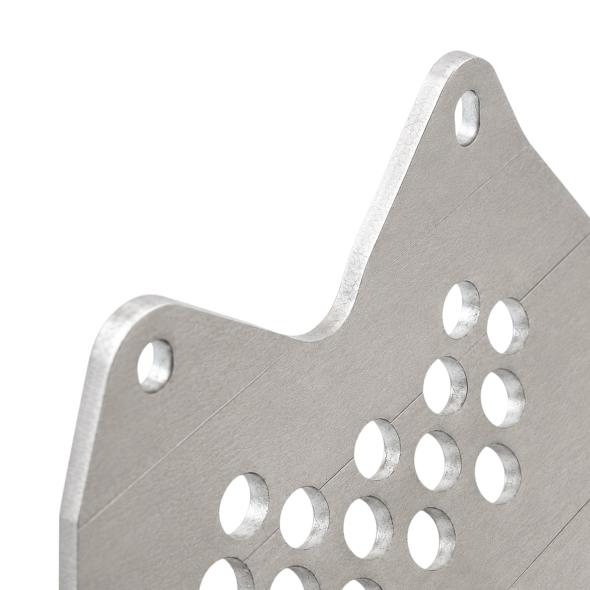 Jitsie Bash Plate - Beta Sincro/Montesa 4RT