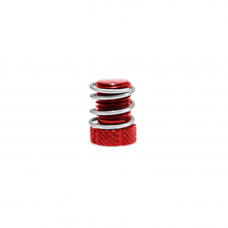 Lever Play Screw for brake pump AJP/Braktec