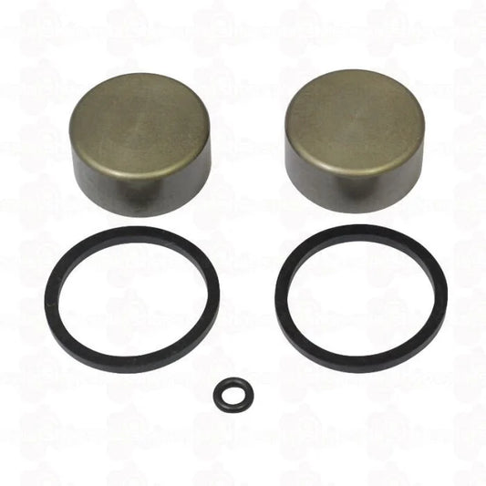 Beta Evo Rear Calliper Piston Kit -  160.00.328C