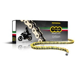 CHAIN EB/ORO GOLD 520x100 TRIALS