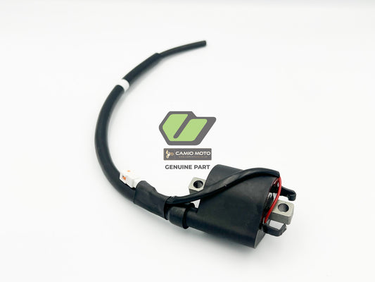 V-0300 - IGNITION COIL