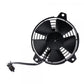 FAN - Vertigo Vertical/DL12/Titanium 16-19